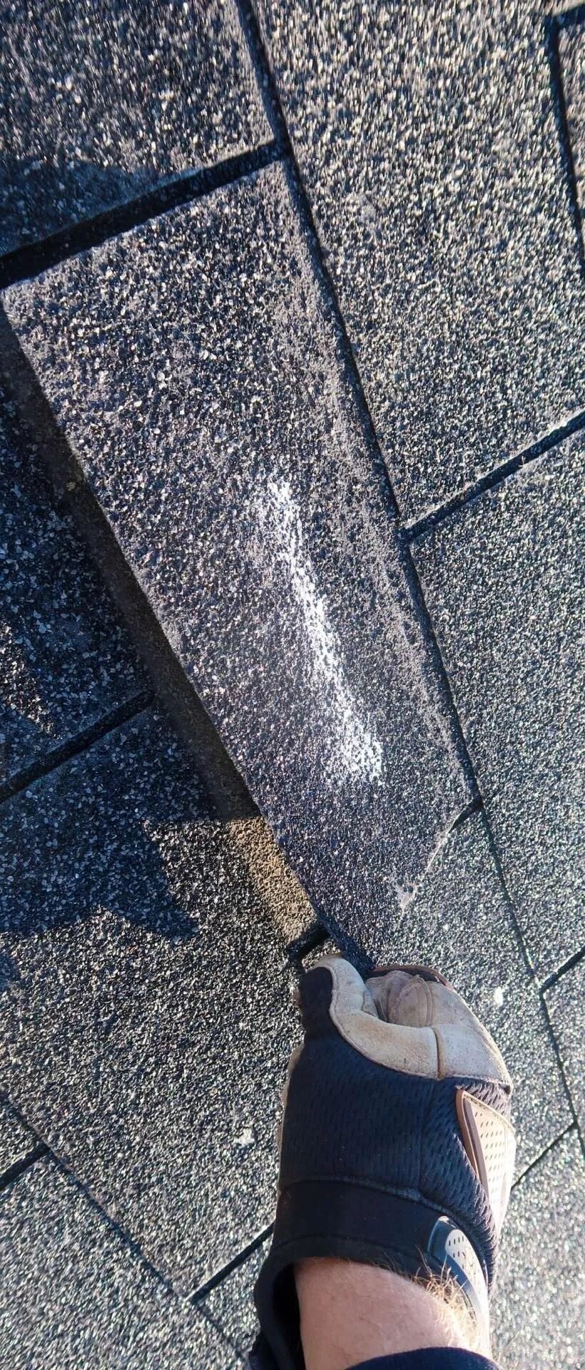 ezgif.com-webp-to-jpg-converter (2)